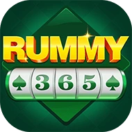Rummy 365 - All Rummy App